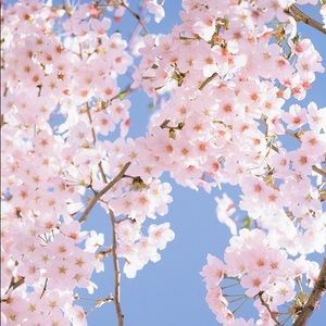 Meet your Posher, Ellie